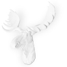 Buy Wall Decoration - White Moose Head - Ika White 55734 in the Europe