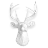 Buy Wall Decoration - White Deer Head - Ika White 55737 - in the EU