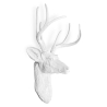 Buy Wall Decoration - White Deer Head - Ika White 55737 - prices
