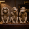 Buy Decorative Design Figures - Monkeys - Sensa Brown 58449 - prices