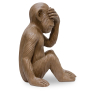 Buy Decorative Design Figure - Blind Monkey - Sense Brown 58446 in the Europe