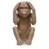 Buy Decorative Design Figure - Deaf Monkey - Sense Brown 58447 - in the EU