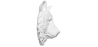 Buy Bear Bust Wall decor - Resin White 55732 - prices