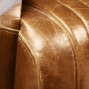 Buy Design Sofa Churchill Lounge - 2 places - Premium Leather & Stainless Steel Vintage brown 48369 in the Europe