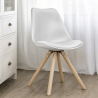 Buy Premium Scandinavian design Brielle chair with Cushion Black 58292 - prices