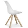 Buy Premium Scandinavian design Brielle chair with Cushion White 58292 in the Europe