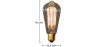 Buy Edison Squirrel filaments Bulb Transparent 50774 at MyFaktory