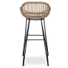 Buy Synthetic wicker bar stool - Magony Dark Wood 59256 with a guarantee
