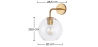 Buy  Globe Shaped Glass Shade Wall Sconce Transparent 59833 home delivery