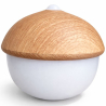 Buy Table Lamp USB Rechargeable LED with Touch Sensor – Warm Light – Acorn Natural wood 60101 - in the EU