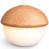 Buy Table Lamp USB Rechargeable LED with Touch Sensor – Warm Light – Acorn Natural wood 60101 at MyFaktory