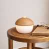 Buy Table Lamp USB Rechargeable LED with Touch Sensor – Warm Light – Acorn Natural wood 60101 with a guarantee