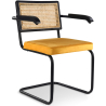 Buy Dining Chair, Natural Rattan And Velvet, Black Legs - Nema Mustard 60459 - in the EU