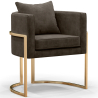 Buy Dining Chair - With armrests - Upholstered in Velvet - Vittoria Taupe 61009 - prices
