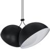 Buy Pendant Lamp - 2 LED Spots - Binal Black 61257 - prices