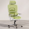 Buy Ergonomic Office Chair with Wheels and Armrests - Techas Green 61281 with a guarantee