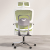 Buy Ergonomic Office Chair with Wheels and Armrests - Techas Green 61281 at MyFaktory