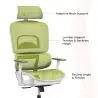 Buy Ergonomic Office Chair with Wheels and Armrests - Techas Green 61281 home delivery
