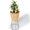 Buy Round Floor Planter - Boho Style - 65 CM - Pert Natural 61242 at MyFaktory
