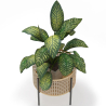Buy Pot de Sol Rond - Style Boho - Etnica Natural 61243 home delivery