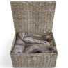 Buy Natural Fiber Basket with Lid - 40x30CM - Vernui Brown 61313 in the Europe