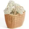 Buy Rattan Basket with Handles - Frinay Natural 61318 - in the EU