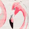Buy Kids Carpet - (290x200 cm) - Flamingo  Pink 61408 - prices
