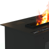 Buy Decorative Electric Fireplace with Water Vapor Flame - 60 cm Black 61520 with a guarantee