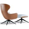 Buy Contemporary Style Upholstered Armchair with Footrest - Franka Light grey 61542 in the Europe