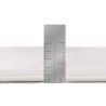 Buy Rug Large Contemporary Modern Design - Beige (240x 340 cm) - Aveline Beige 61684 - prices