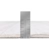 Buy Rug Large Contemporary Modern Design - Beige (290x200 cm) - Nimbus Beige 61686 at MyFaktory