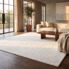 Buy Rug Velvet (300x400cm) – Elegant and Modern Design – Hobs  White 61828 at MyFaktory