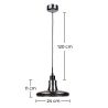 Buy A12 Pendant lamp Grey transparent 58225 in the Europe