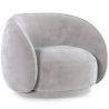 Buy Curved Velvet Upholstered Armchair - William Light grey 60692 at MyFaktory