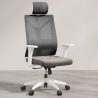 Buy Ergonomic Office Chair with Wheels and Armrests - Sembra Grey 61280 - prices