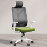Buy Ergonomic Office Chair with Wheels and Armrests - Sembra Green 61280 in the Europe