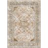 Buy Vintage Oriental Carpet - (290x200 cm) - Anne Brown 61393 - in the EU