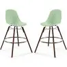 Buy Bar Stools - Scandinavian Design - Dark Wood Legs - Pack of 2 - Lumi Pastel green 61579 with a guarantee